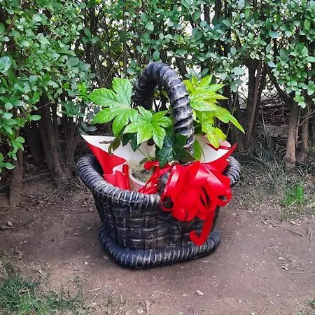 Mariana - Guest Къща за гости Гоце Делчев